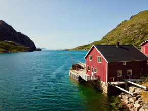 Lofoten Troll View